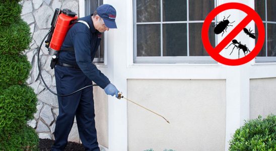 Kadınhanı Dezenfeksiyon böcek ilaçlama ve haşere kontrolü — ilaclama-tr.com